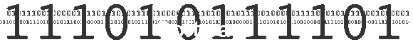 Software